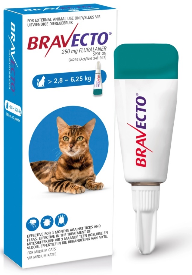 Bravecto Cat Medium 2.8 - 6.25Kg 1`s