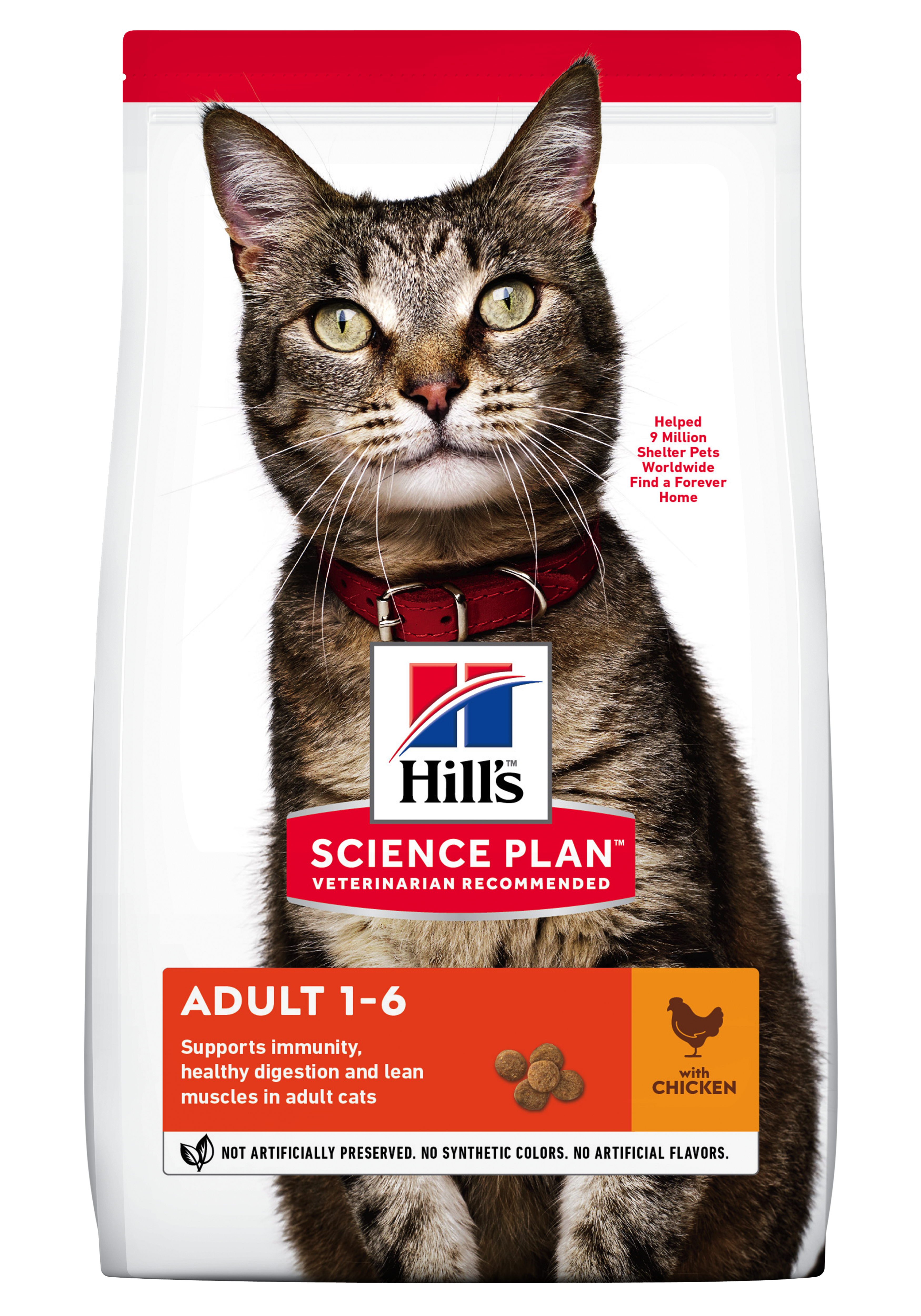 Hills Adult Cat - Chicken