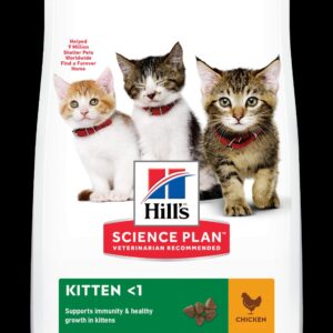 Hills Kitten - Chicken