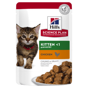 Hills Kitten - Wet Chicken