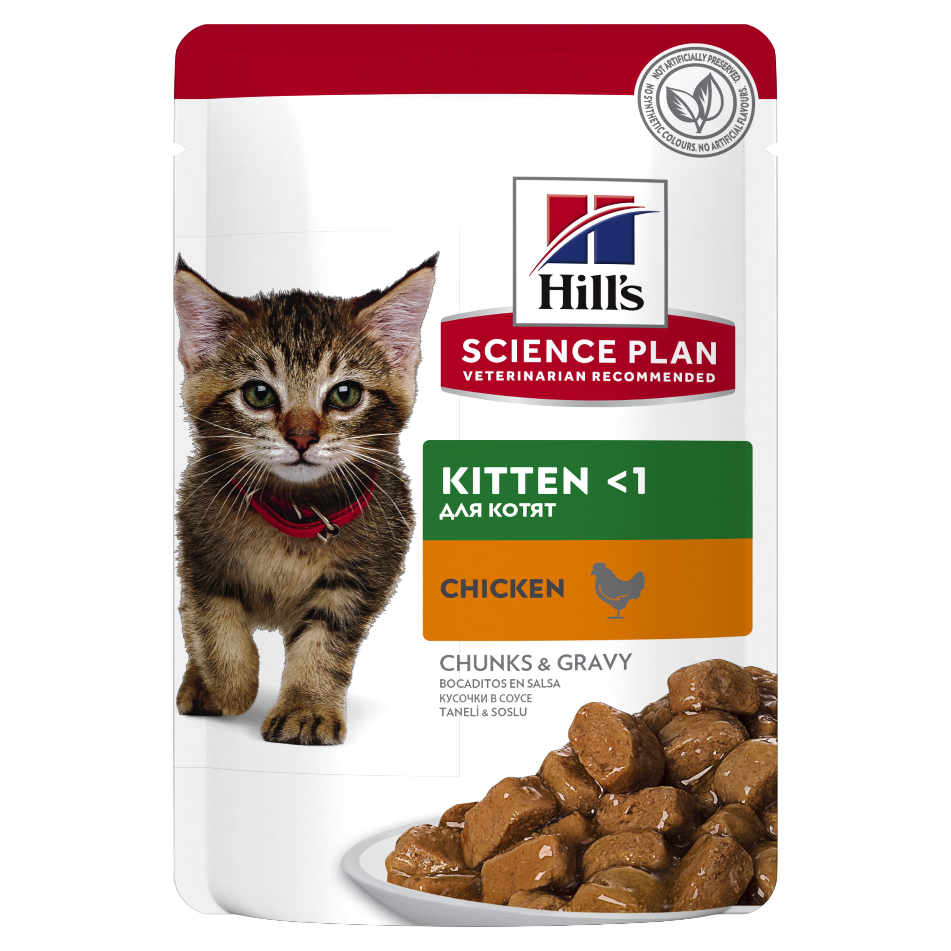 Hills Kitten - Wet Chicken