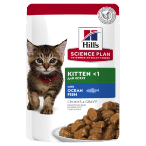Hills Kitten - Wet Ocean Fish