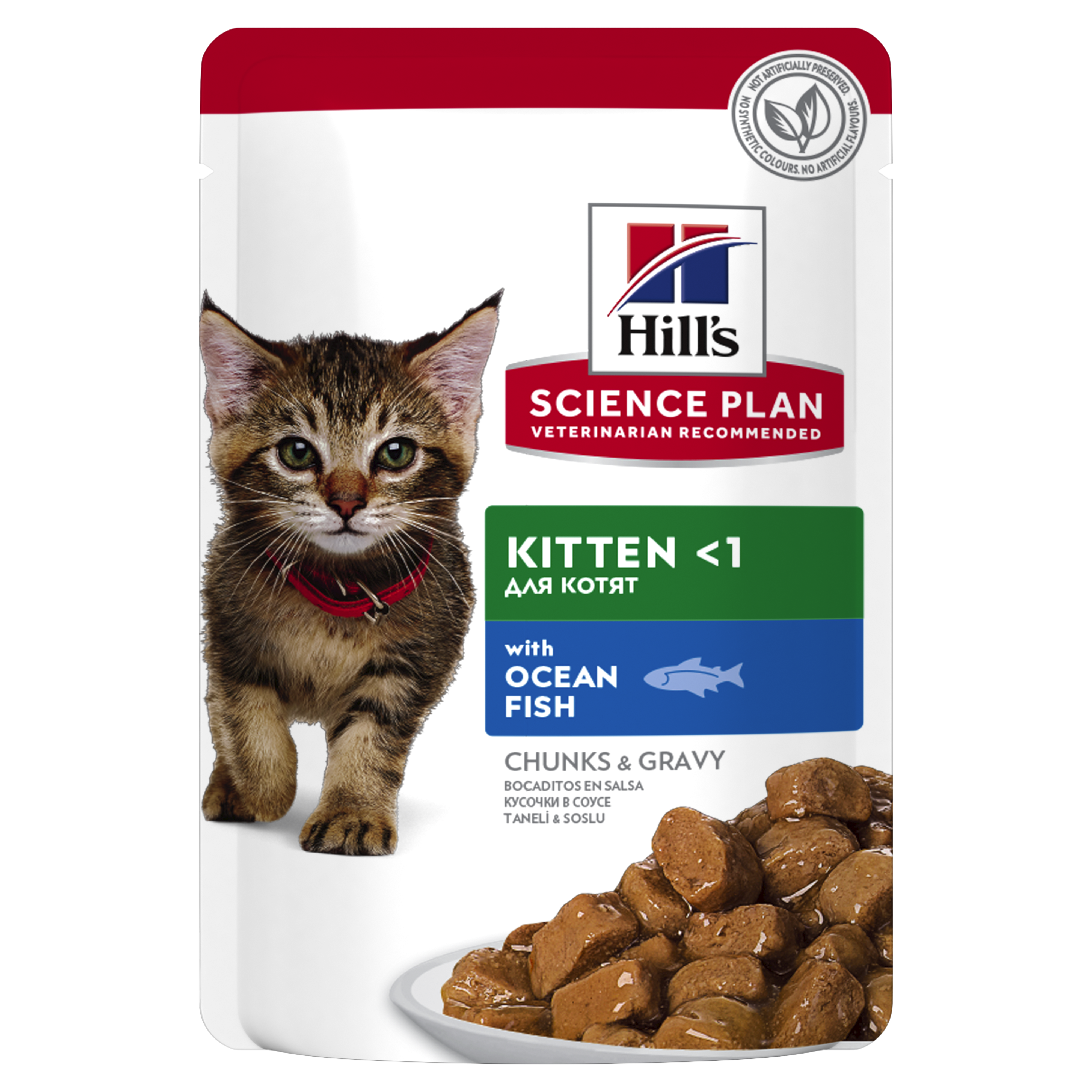 Hills Kitten - Wet Ocean Fish