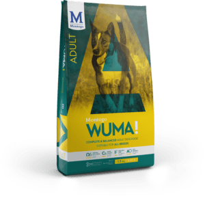 Montego Wuma Adult