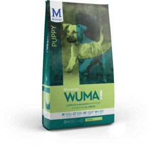 Montego Wuma Puppy