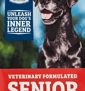 Jock Dog - Senior